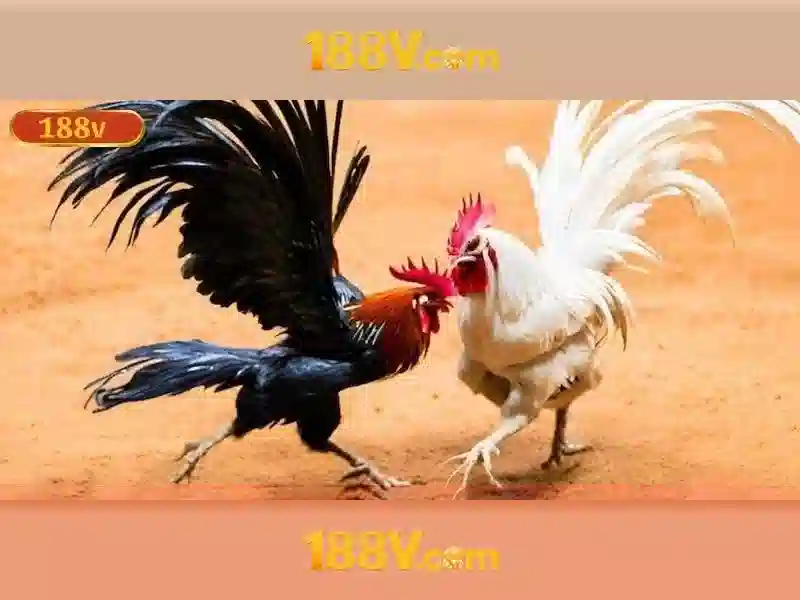 Khám phá 188v: Phiên bản ảo của thời đại mới