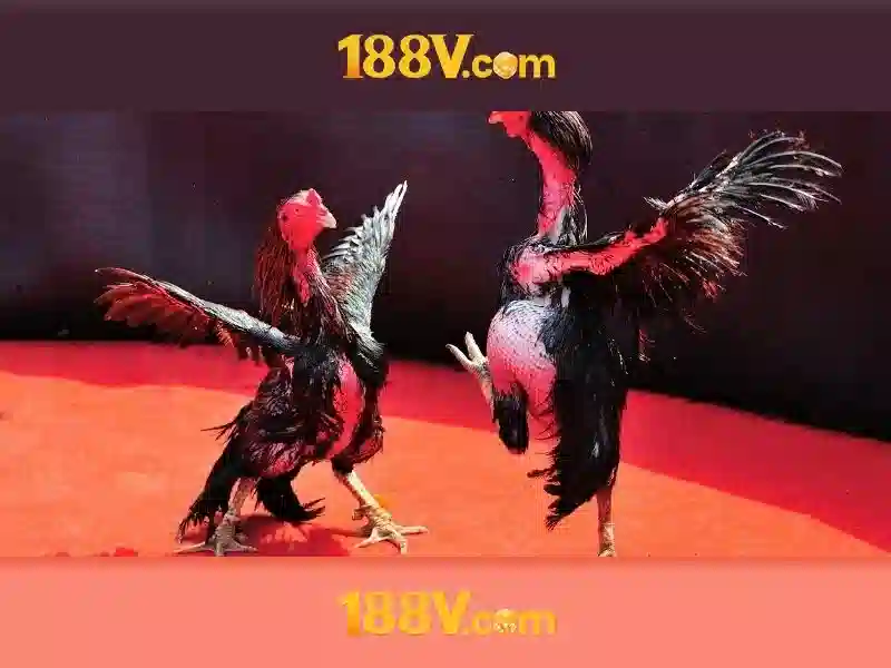 188v và hành trình của dữ liệu