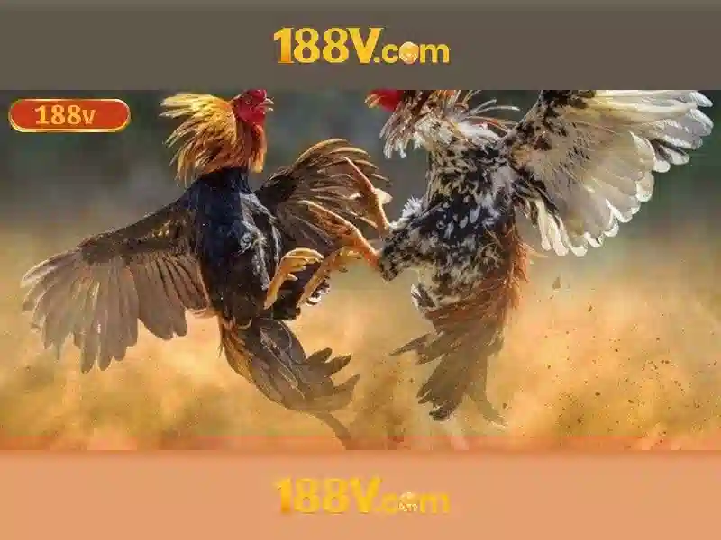 Kiến trúc và thiết kế