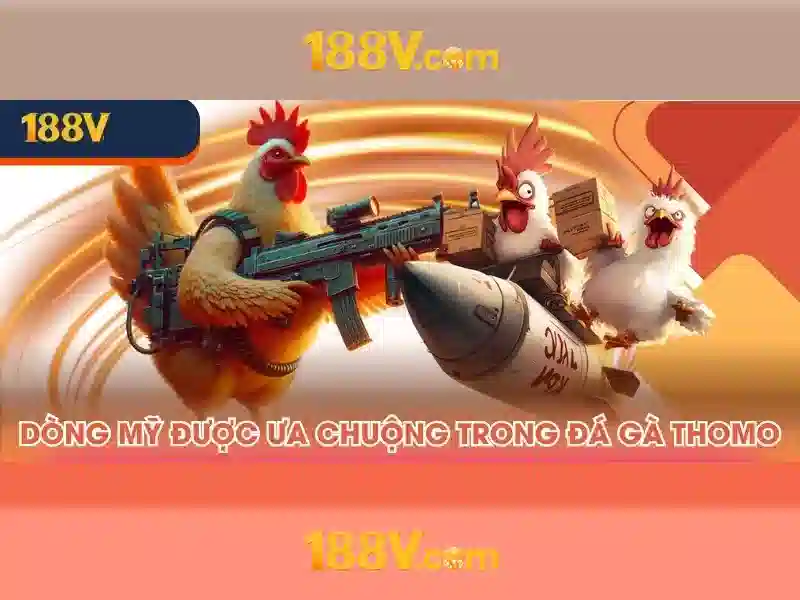 Khám phá 188v và ý nghĩa của nó