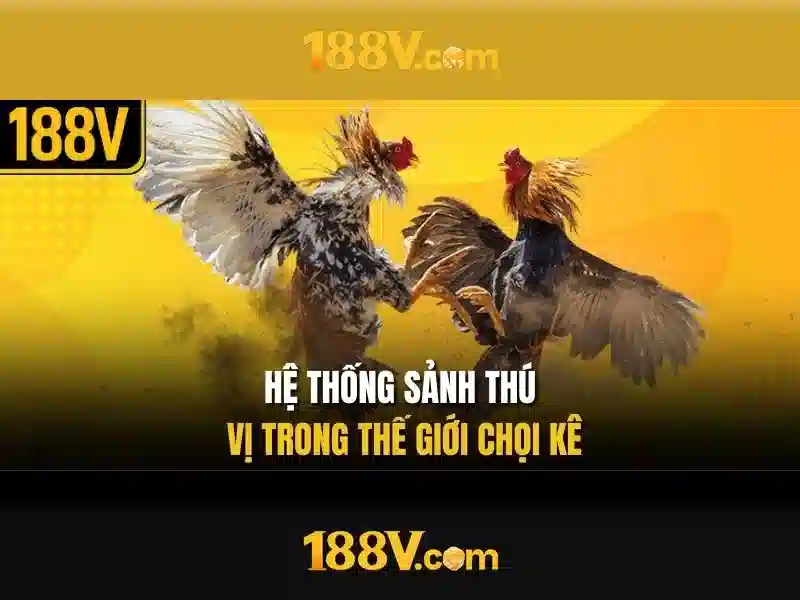 Định nghĩa chi tiết và các cách nhìn nhận