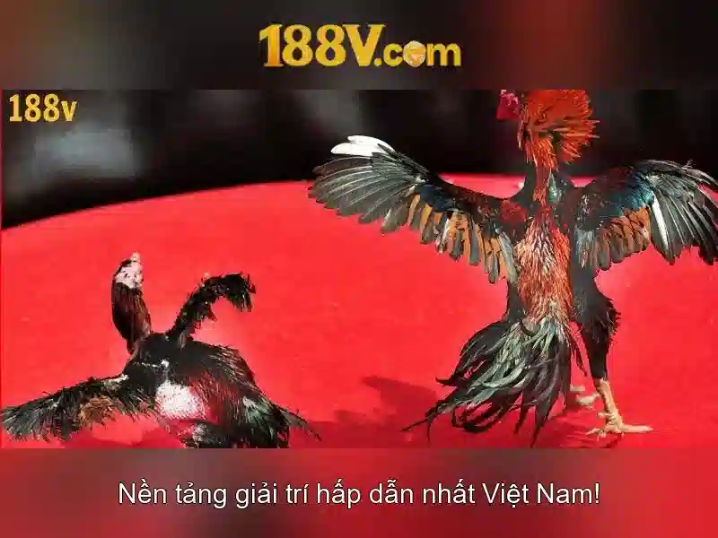 Khởi nguồn và những ứng dụng tiềm năng