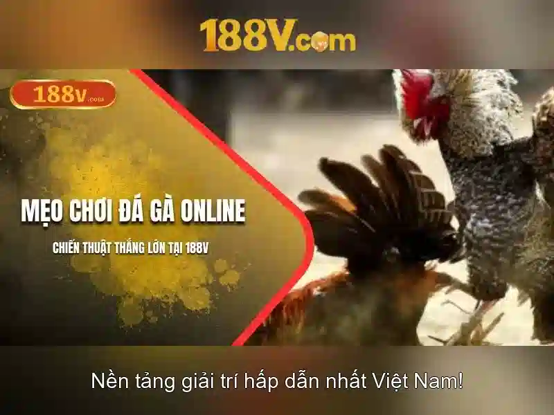 Những Thành Tựu và Thách Thức