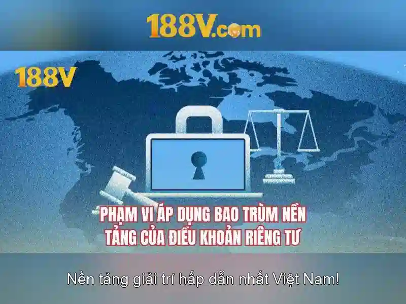 Trải nghiệm người dùng và phản hồi từ cộng đồng
