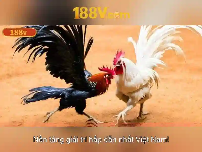 Khái niệm và ứng dụng của 188V trong công nghiệp