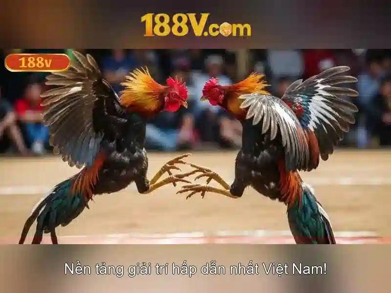 Định nghĩa kỹ thuật