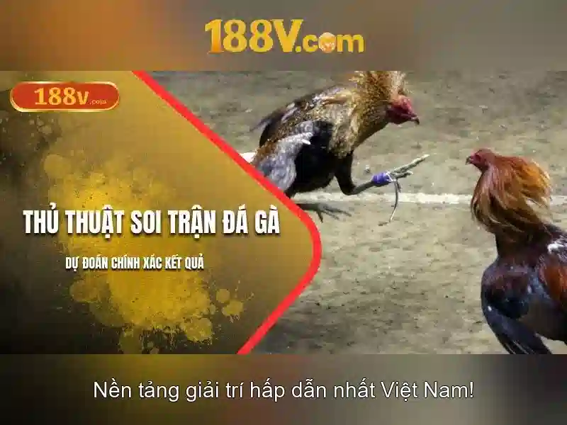 Khám Phá 188v: Nguồn Gốc và Tiềm Năng