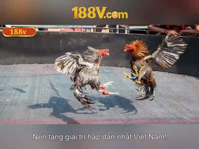 Nguồn gốc và ý tưởng