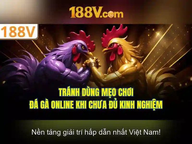 Kết luận và hành động