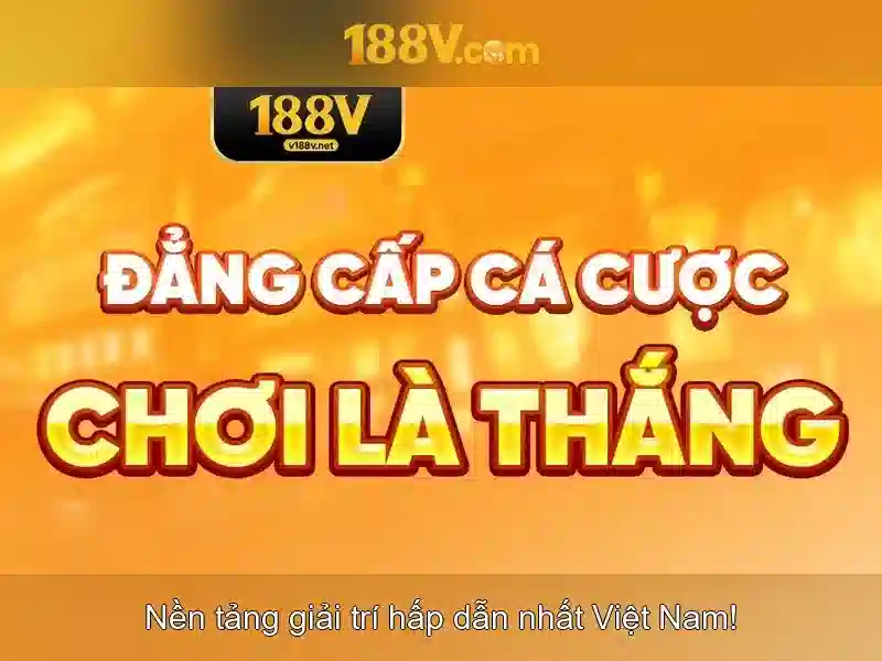 Khám phá các mảng liên quan