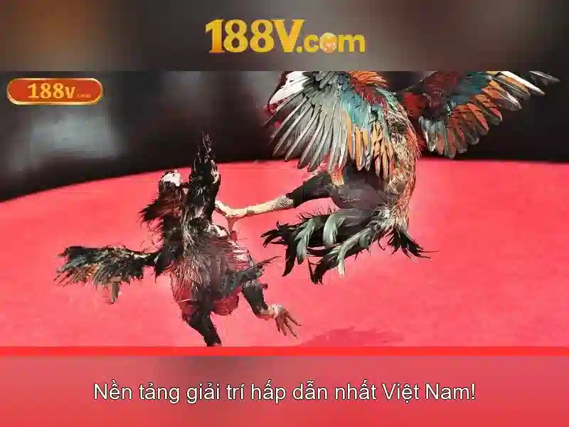 Nguồn gốc của 188v
