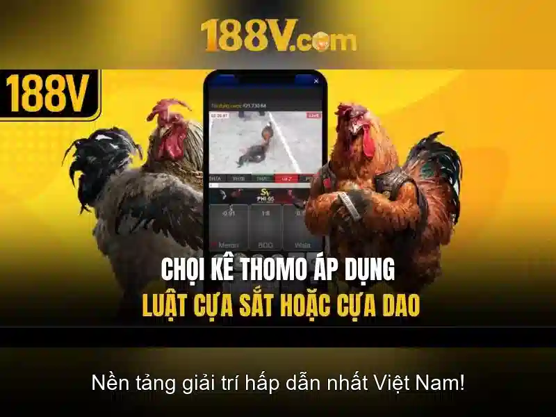 Khái niệm và bối cảnh