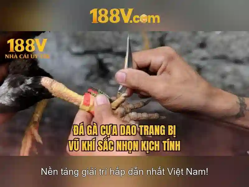 Kiến trúc và công nghệ liên quan