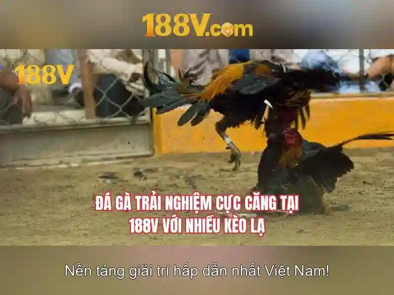 188v: khái niệm và tương lai