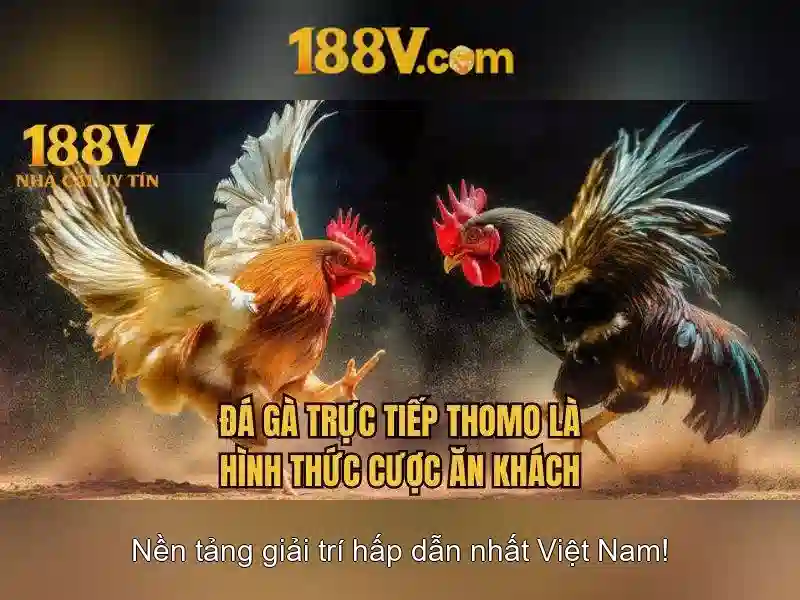 Khám phá 188v: một khái niệm công nghệ đặc sắc