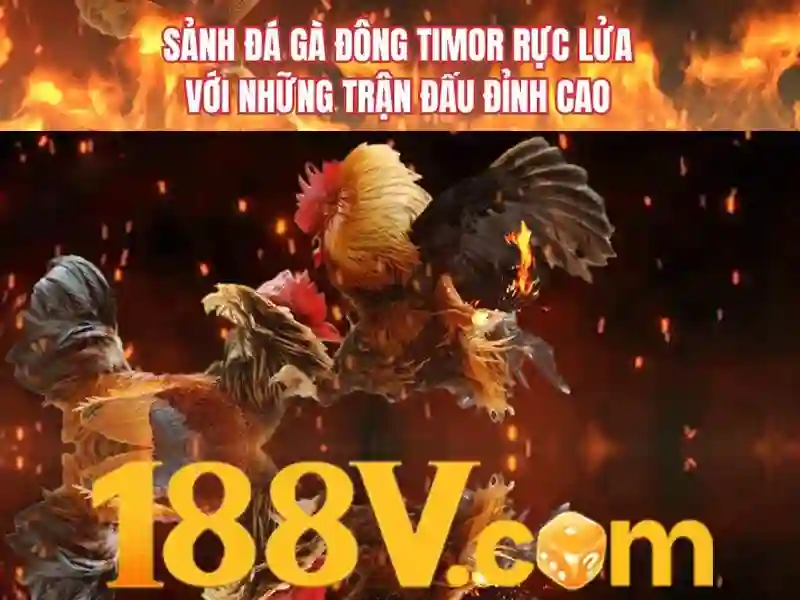Giao diện và trải nghiệm